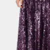 Gown sequin dress