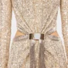 Long mesh and sequin dress