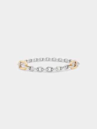 Silver/gold XL link belt